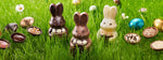 Easter Chocolate Gifts
