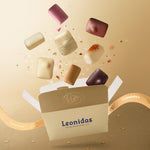 Limited Edition Manon Ballotin, 500g