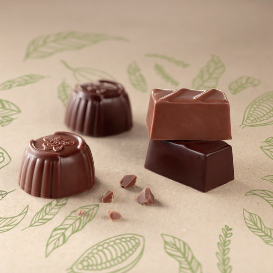 Small Vegan Chocolate Gift Box, 135g