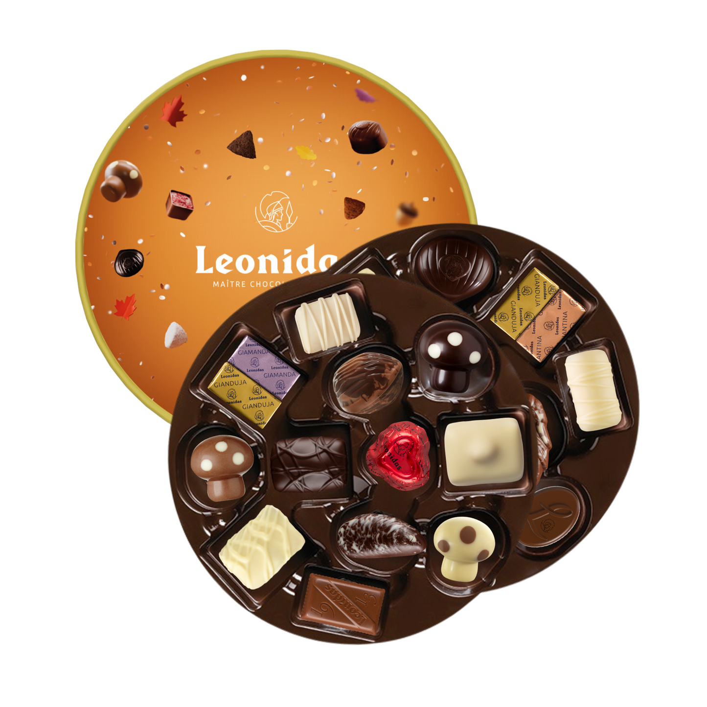 Autumn Dora Gift Box, 375g - Leonidas Online Ireland